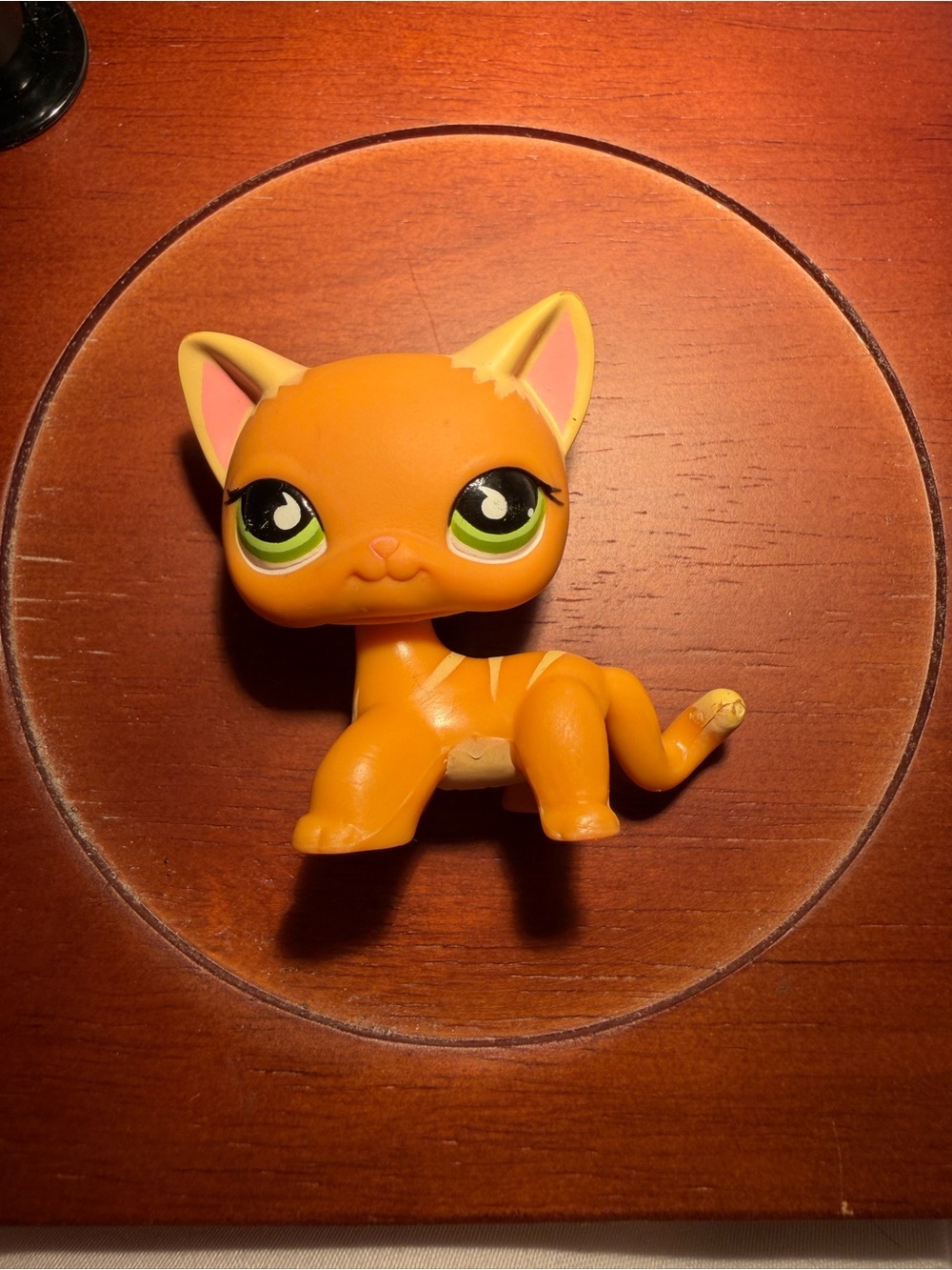 Littlest Pet Shop Shorthair #525